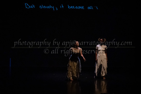 8 dsc_6951