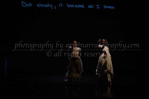 8 dsc_6952