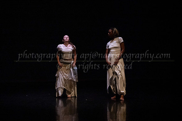 8 dsc_6953