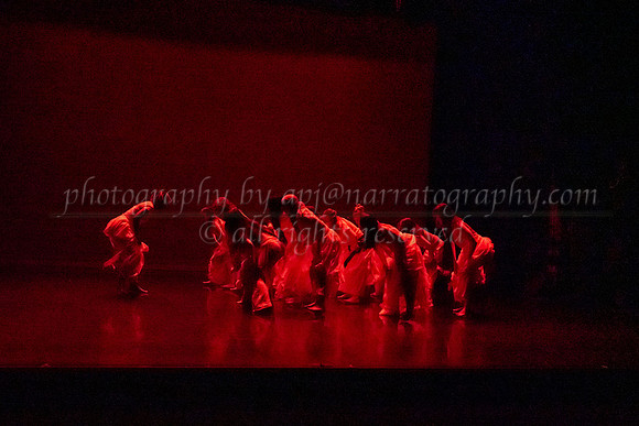 8 dsc_6976