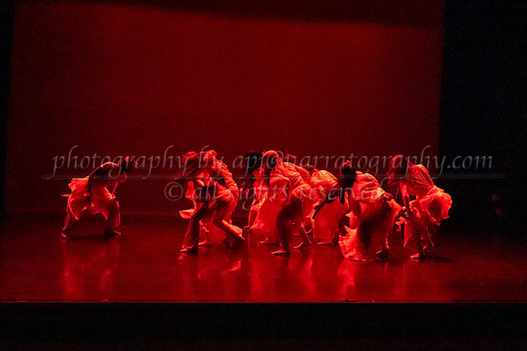 8 dsc_6977