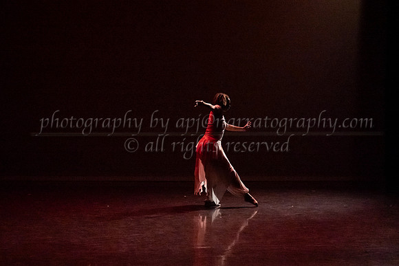 8 dsc_6979