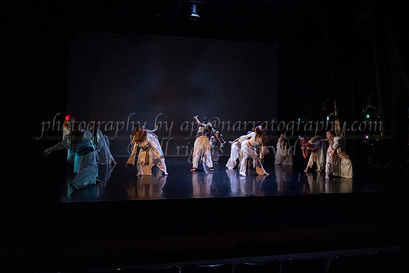 8 dsc_7015