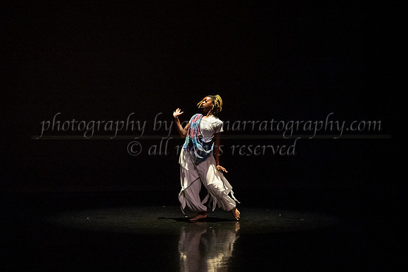 8 dsc_7033