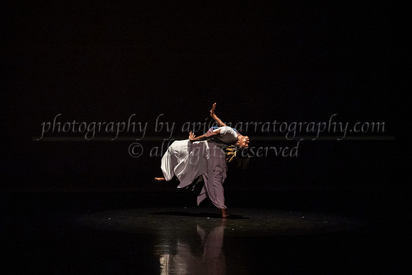 8 dsc_7036