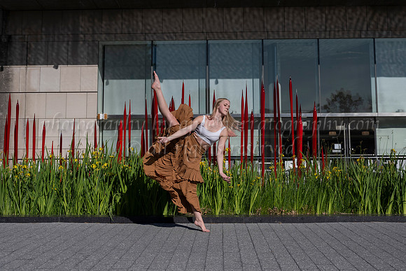 a DSC_7478