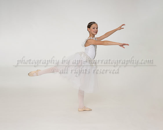 DSC_8502