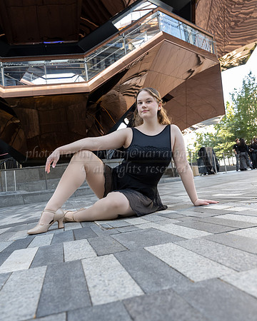 apj-4351