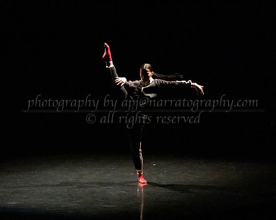 DSC_1464b