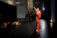 6 DSC_0251