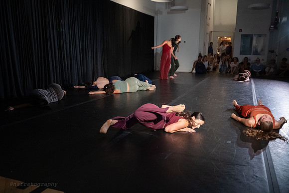 6 DSC_0255