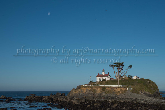 between-the-moon-and-nyc_28611186507_o