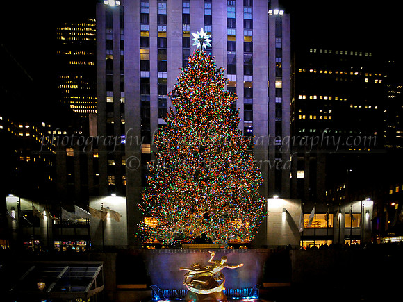 merry-christmas_11533052036_o