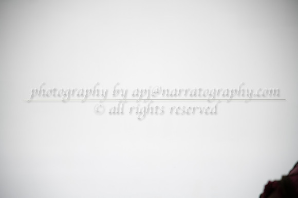 abr-0043