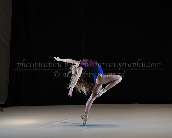 pdd-2012-ld