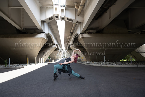 DSC_6507