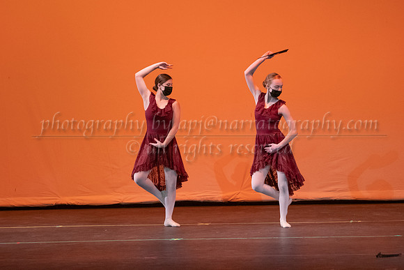 rhs-0399
