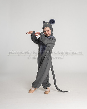 apj-7249