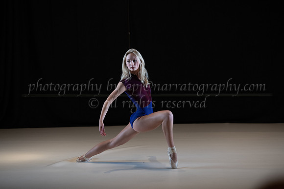 pdd-2013-ld