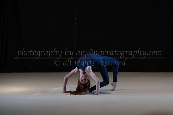 pdd-2046-ah