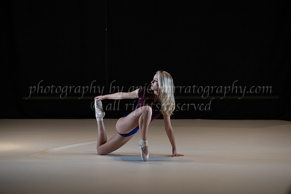 pdd-2008-ld