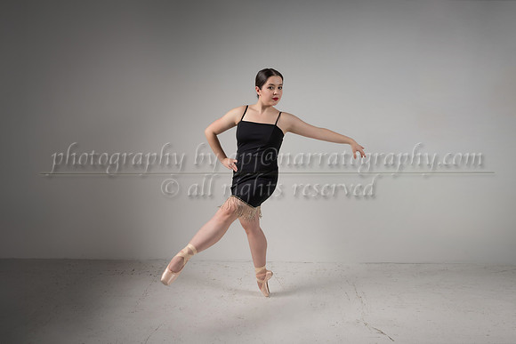 0-apj-0862 copy