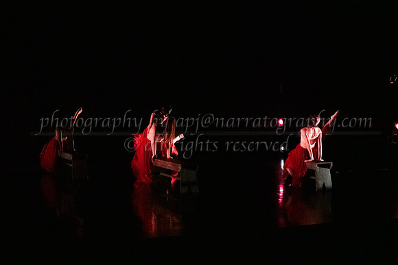 apj-1317