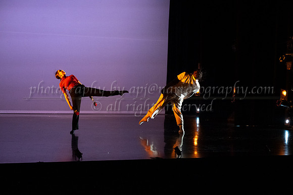 apj-1995