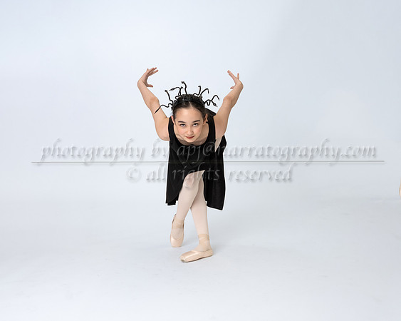 apj-5365