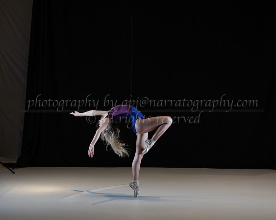 pdd-2011-ld