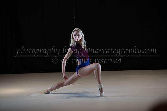 pdd-2014-ld