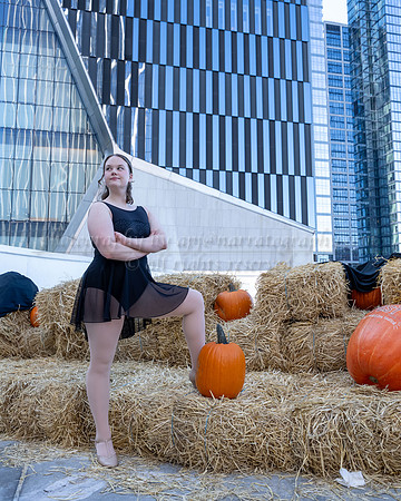 apj-4406