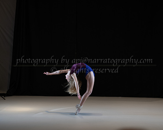 pdd-2007-ld