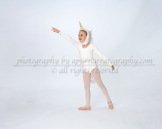 apj-5219