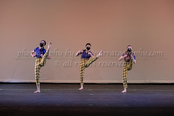 rhs-0455