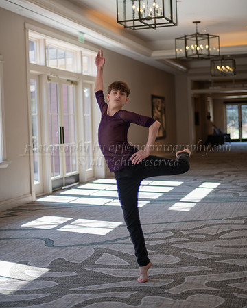 pdd-2393-bw