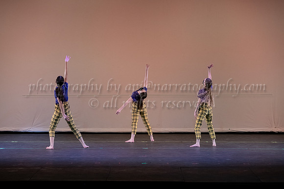 rhs-0454